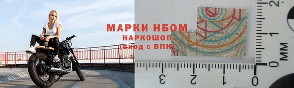 крисы Белокуриха